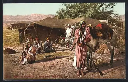 AK Bedouins nomades, Wandering Bedouins