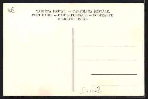 AK Cana, Vue générale