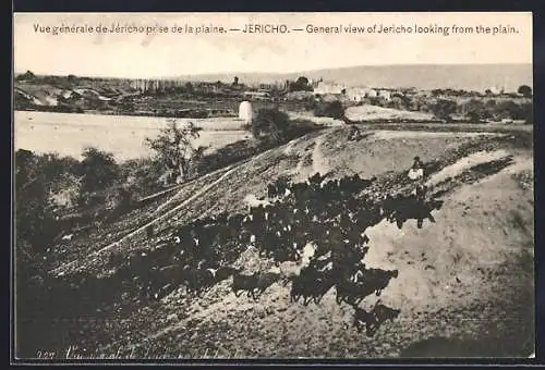 AK Jéricho, Vue générale