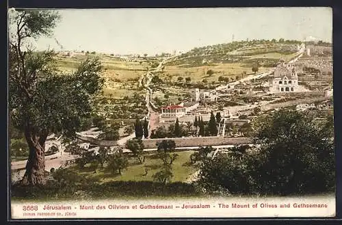 AK Jerusalem, Mont des Oliviers et Gethsemani