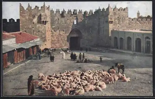 AK Jerusalem, The Beautiful Gate (Damascus Gate)