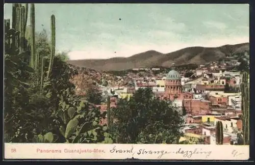 AK Guanajuato, Panorama