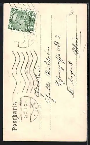 AK Stattlicher Meraner in Volkstracht