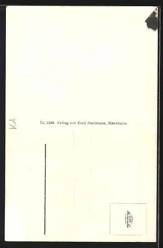 AK Todtnau /Schwarzwald, Wegweiser Feldberg Todtnau und Alt u. Neuglashütten