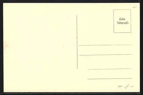 AK Allentsteig, Bad mit Villenviertel