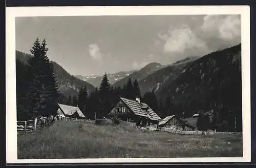 AK Reisseck /Kärnten, Teuchl, Gasthaus Alpenheim mit der Kreuzeckgruppe