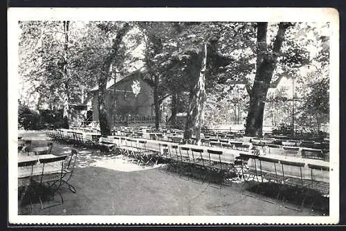 AK Offenbach a. M., Restaurant Stadtgarten