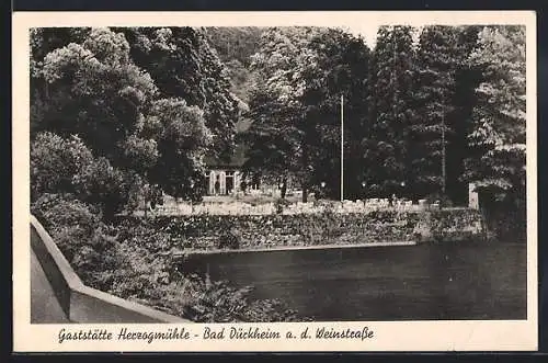 AK Bad Dürkheim a. d. Weinstrasse, Gaststätte Herzogmühle L. Jaeckel