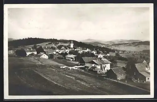 AK Klingenbrunn /Bayerischer Wald, Teilansicht mit Bäumen