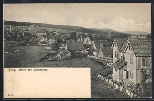 AK Hahnenklee /Harz, Ortspartie