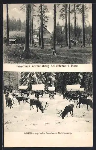 AK Ahrendsberg, Forsthaus im Harz & Wildfütterung im Winter