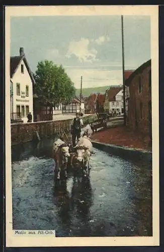 AK Alt-Orb, Strassenpartie und Bauer mit Ochsengespann