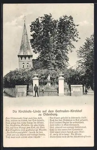 AK Oldenburg / O., Kirchhofs-Linde auf dem Gertruden-Kirchhof