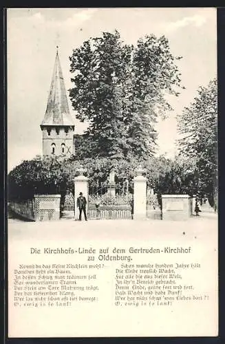 AK Oldenburg / O., Kirchhofs-Linde auf dem Getruden-Kirchhof