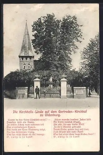 AK Oldenburg / O., Kirchhofs-Linde auf dem Gertruden-Kirchhof