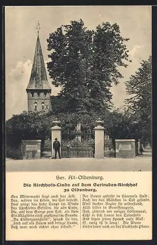 AK Oldenburg / O., Kirchhofs-Linde auf dem Gertruden-Kirchhof
