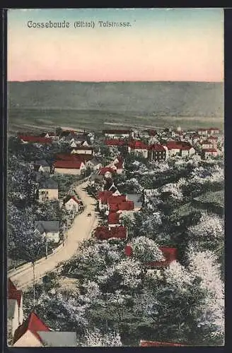 AK Cossebaude /Elbtal, Teilansicht mit Talstrasse