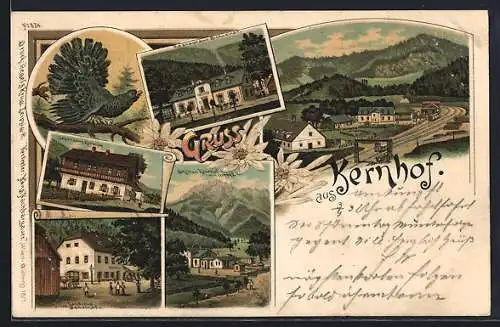 Lithographie Kernhof, Restaurant Schreiner, Gasthaus, Ortsansicht