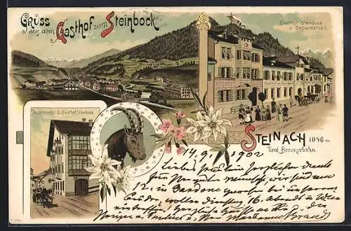 Lithographie Steinach /Tirol, Gasthof Steinbock, Dependance I u. II, Ortsansicht