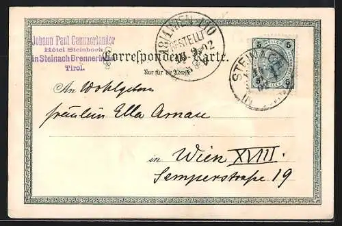 Lithographie Steinach /Tirol, Gasthof Steinbock, Dependance I u. II, Ortsansicht