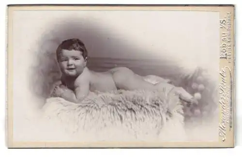 Fotografie Alexander Stube, Löbau i. Sa., Porträt eines Babys auf einem Fell