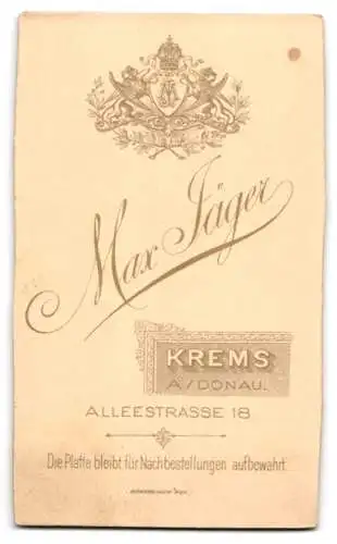 Fotografie Max Jäger, Krems, Alleestrasse 18, Porträt eines Herrn im Anzug