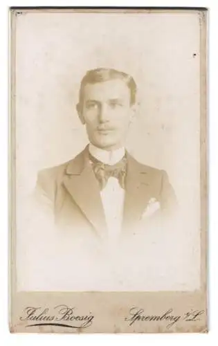 Fotografie Julius Boesig, Spremberg i. L., Dresdener-Str. 33, Porträt eines jungen Mannes