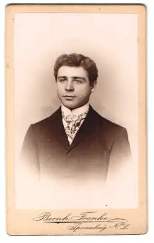 Fotografie Bernh. Franke, Spremberg N.L., Porträt eines jungen Mannes