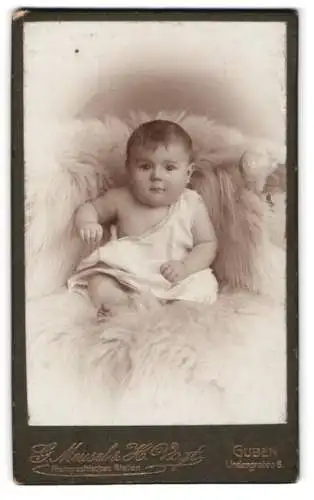 Fotografie G. Meusel & H. Vogt, Guben, Lindengraben 6, Porträt eines Säuglings