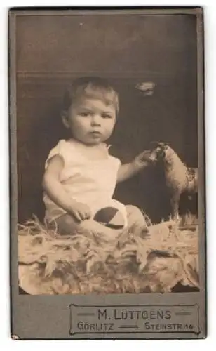 Fotografie M. Lüttgens, Görlitz, Steinstr. 14, Porträt eines Kleinkindes mit Spielzeug