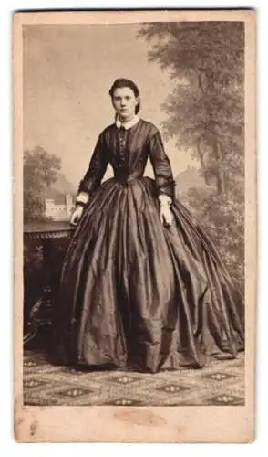 Fotografie F.W. Franke, Merseburg, Rossmarkt 505, elegante Dame im prächtigen Kleid