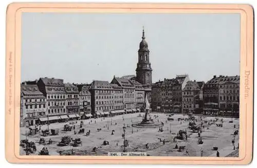 Fotografie Stengel & Co., Dresden, Ansicht Dresden, Der Altmarkt