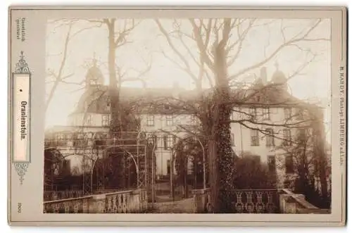 Fotografie H. Hardt, Limburg a.d. Lahn, Ansicht Diez / Lahn, Schloss Oranienstein, eindrucksvolles Anwesen im Winterkleid