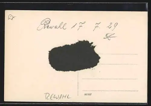 Foto-AK Rewahl, Strandpartie mit Urlaubern in Strandkörben, 1929