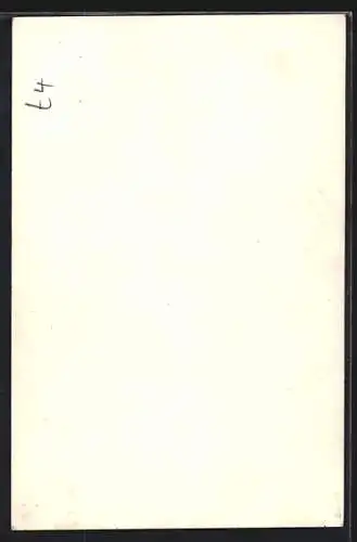 AK Ft. Lieut. C. Turner Hughes, Upside down flyer and stunter, Flugzeug