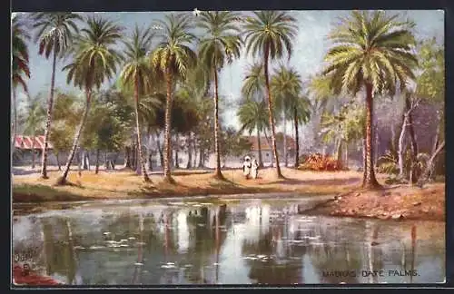 Künstler-AK Madras, Date Palms