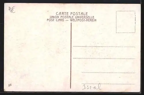 AK Tibériade, Vue générale