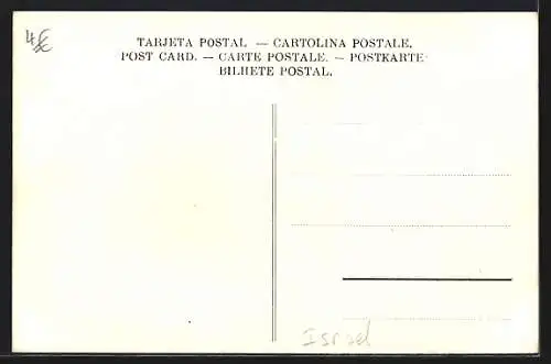 AK Jericho, Elisaquelle und Umgebung