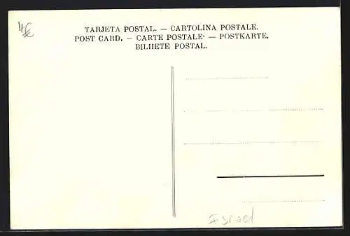 AK Jericho, Blick auf den Ort