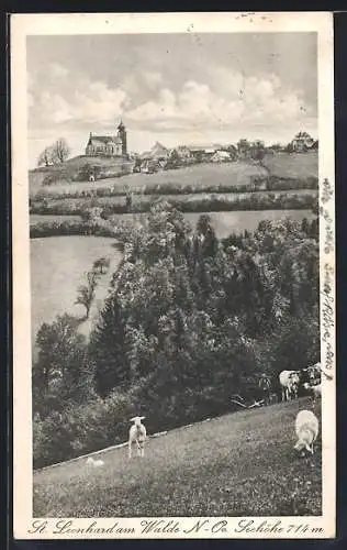 AK St. Leonhard am Walde, Panorama mit Kirche und Lämmern