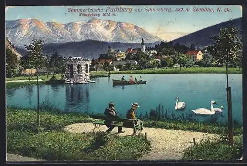 AK Puchberg am Schneeberg, Teilansicht mit Schneeberg