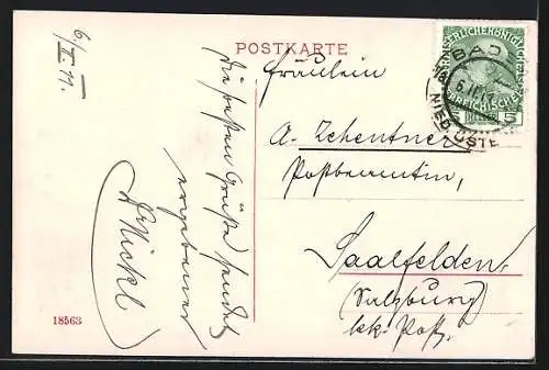 AK Baden, Totalansicht