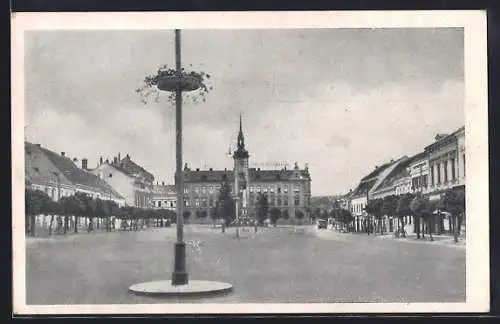 AK Mistelbach /Nd., Strassenpartie mit Rathaus