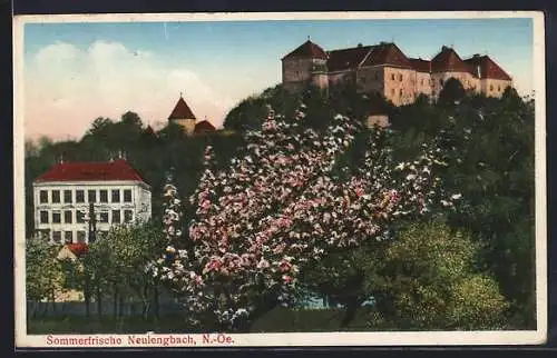 AK Neulengbach /N.-Oe., Blick zum Schloss