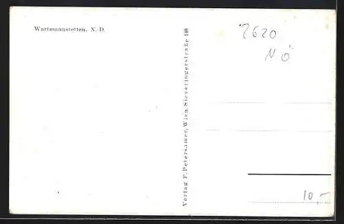 AK Wartmannstetten, Ortsansicht mit Kirche