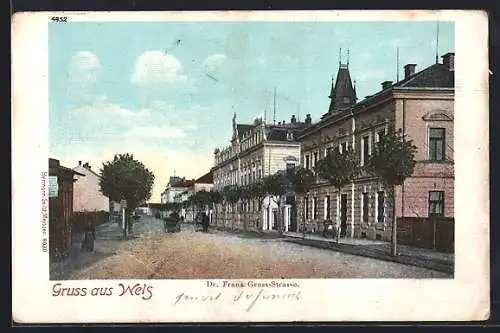 AK Wels, Dr. Franz-Gross-Strasse mit Bäumen