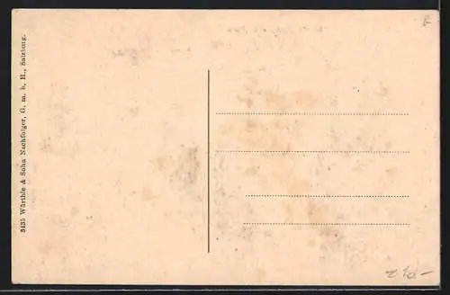 AK Krimml, Waltl`s Gasthof a. d. Platte