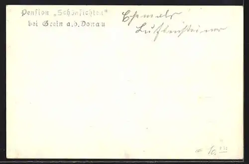 AK Grein a.d. Donau, Ansicht der Pension Schönfichten
