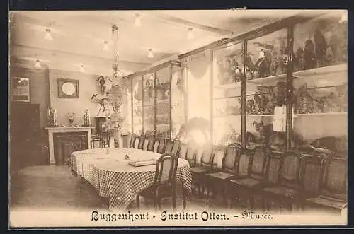 AK Buggenhout, Institut Otten, Musée