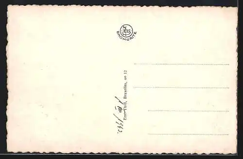 AK Wenduyne, Vue d`Avion